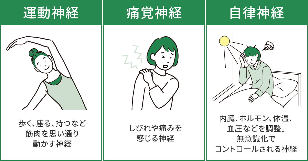 神経